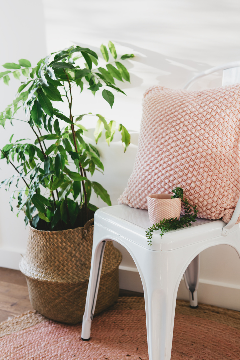 Chair with Plants